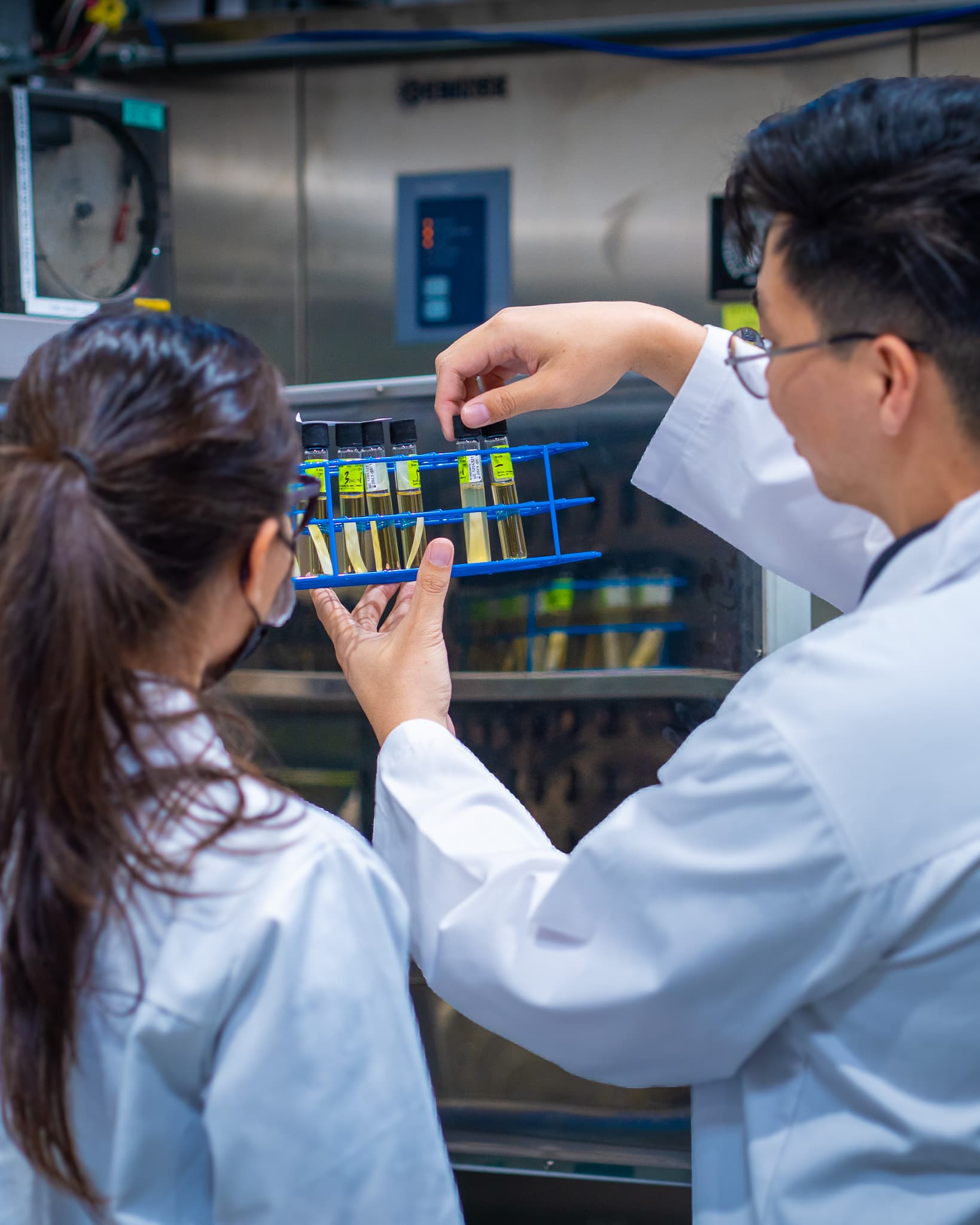 Bioburden Testing