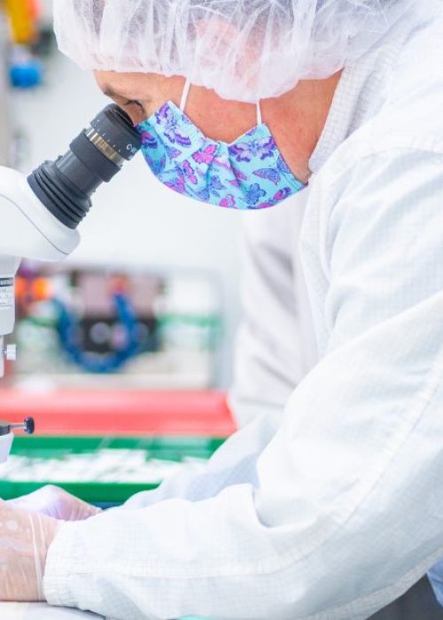 LSO-Website-Thumbail-4-1.jpg LSO-Website-Thumbail-4-1.jpg