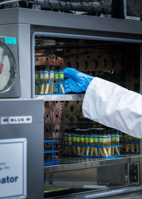 Bioburden Testing Two laboratory technicians in white lab coats conducting bioburden testing, handling test tubes with liquid samples near a sterilization chamber in a controlled lab setting.