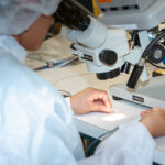 Technician assembling a micro-scale medical device component under a microscope in a cleanroom